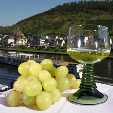 Hotel Karl Noss 3*