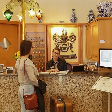 ホテル Karl Noss 3*